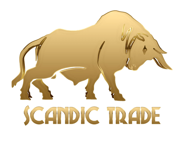 SCANDIC FINANCE GROUP